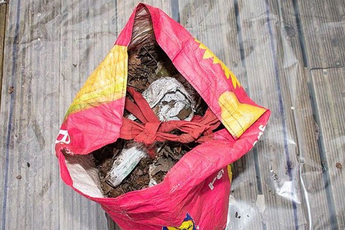 Сумка, в которой нашли останки дочери Мартен и Гордона