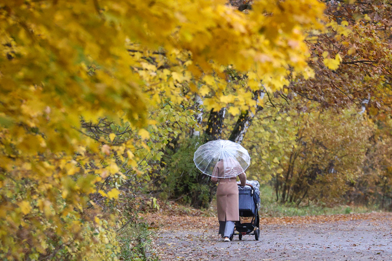 ekoekspert-rasskazal-kak-teplaja-osen-povlijala-na-prirodu-moskvy-23112a1.jpg