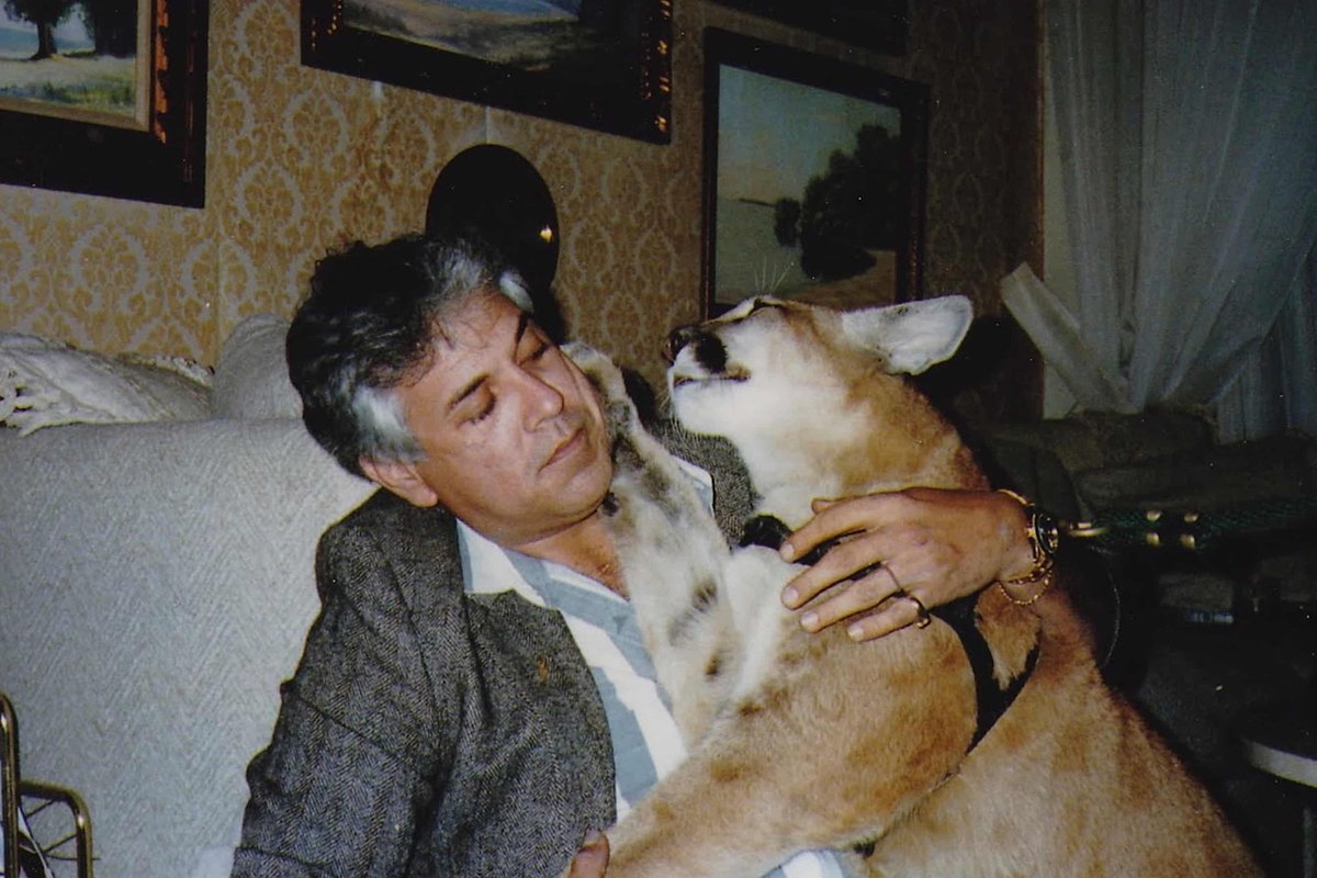 Тирсо Домингес с ручной пумой