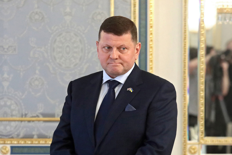 Валерий Залужный