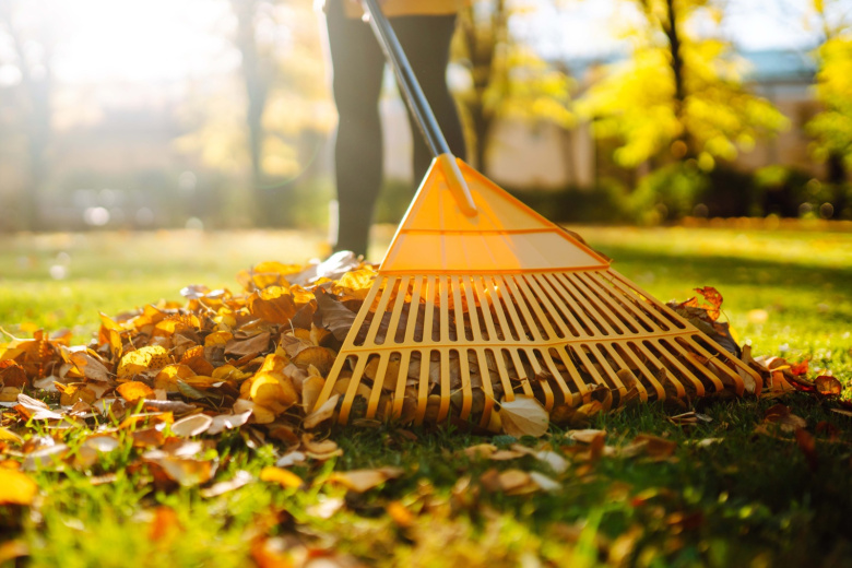 5 способов использовать осенние листья в саду с пользой — даем новую жизнь погибшей зелени